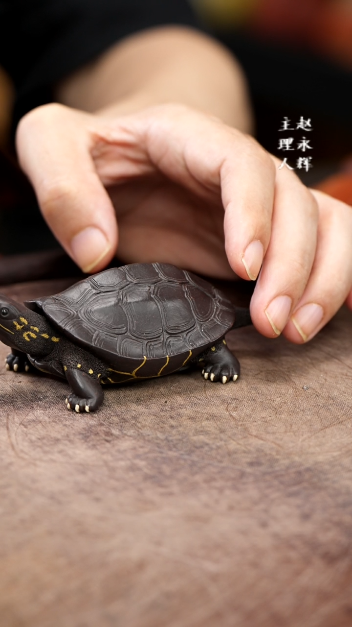 紫砂茶宠紫砂乌龟