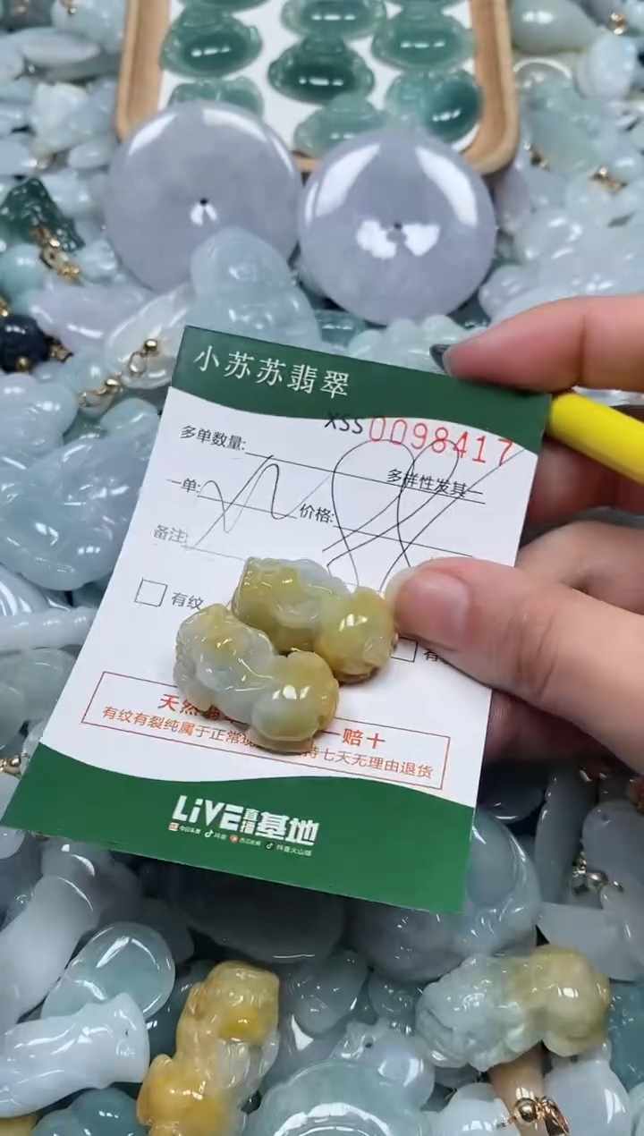 【闪购商品】翡翠颈饰未镶嵌闪购商品0098417