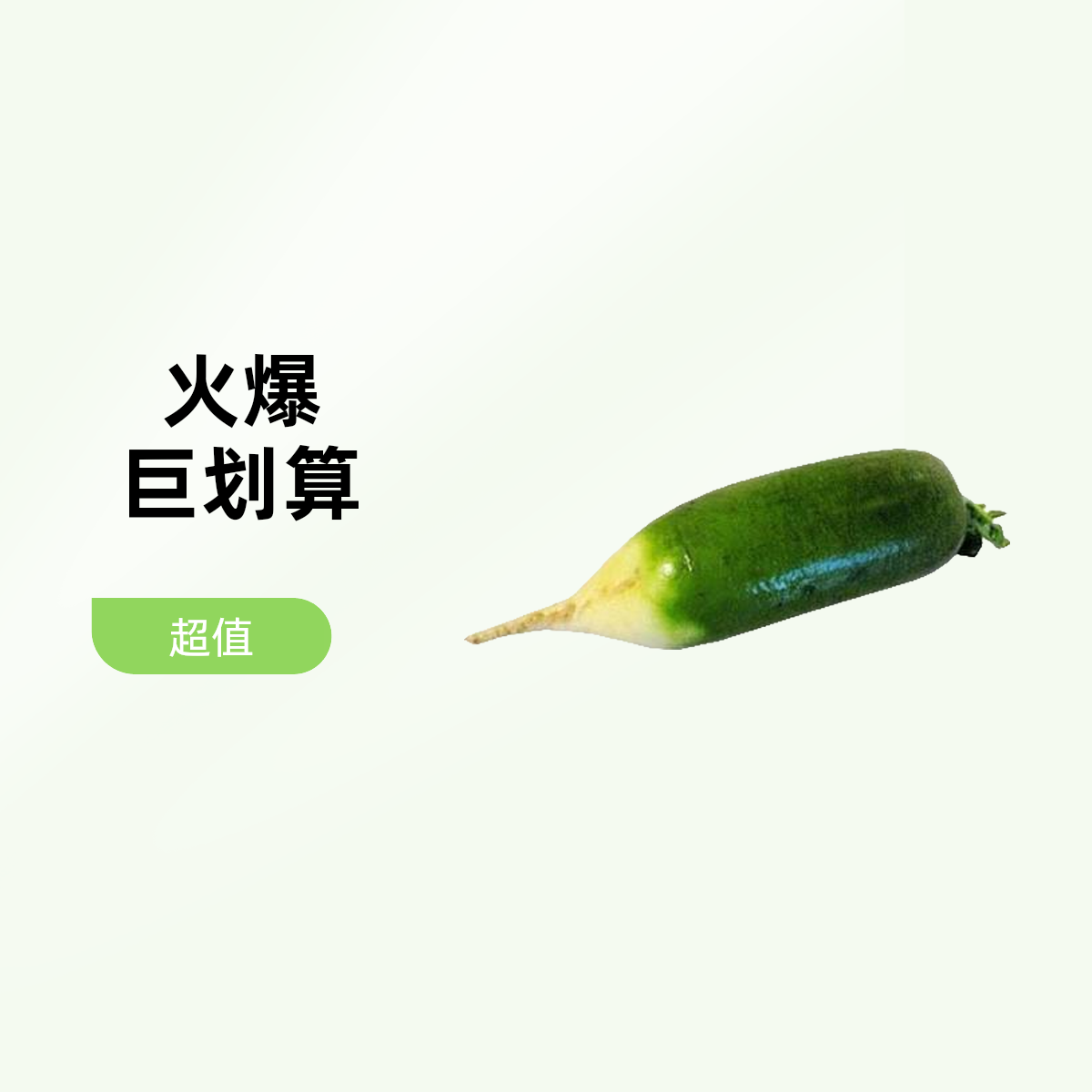 安徽宿州新鲜青萝卜