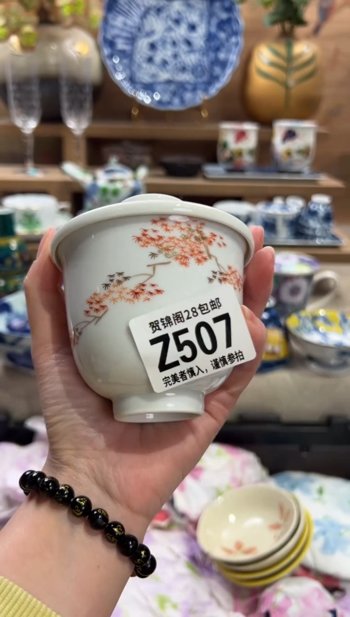 瓷片F**g       Z507