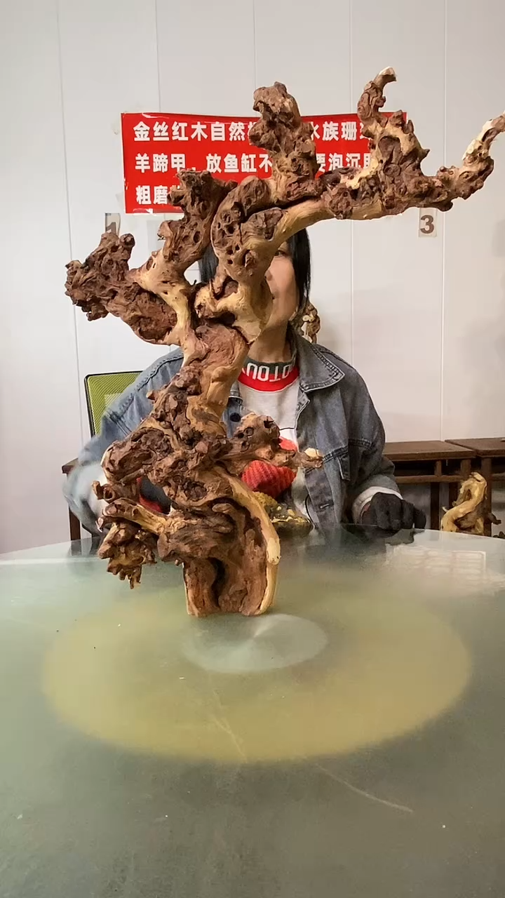 木坚***头金丝红木  羊蹄甲