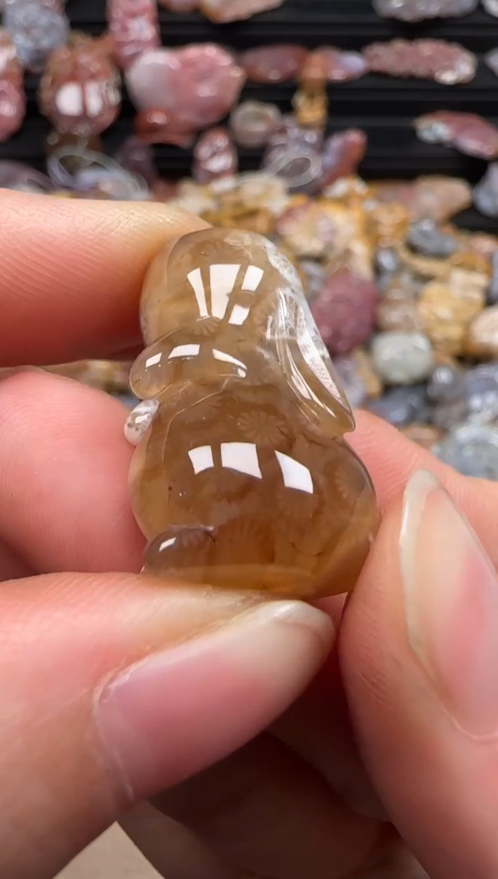 【闪购商品】硅化珊瑚（珊瑚玉）颈饰未镶嵌598