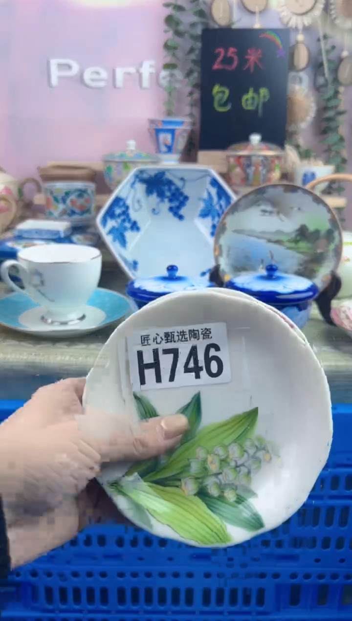瓷片4****8        H746