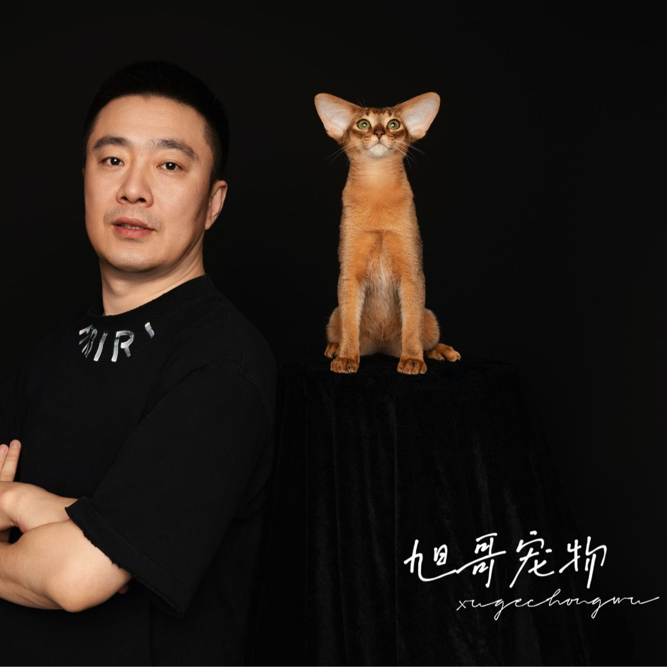 旭哥-阿比西尼亚猫（1)