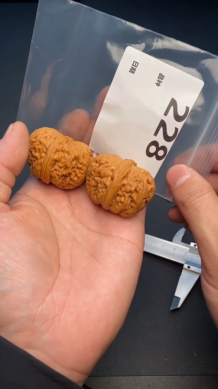 【闪购商品】文玩核桃吊坠228号44尺寸元宝