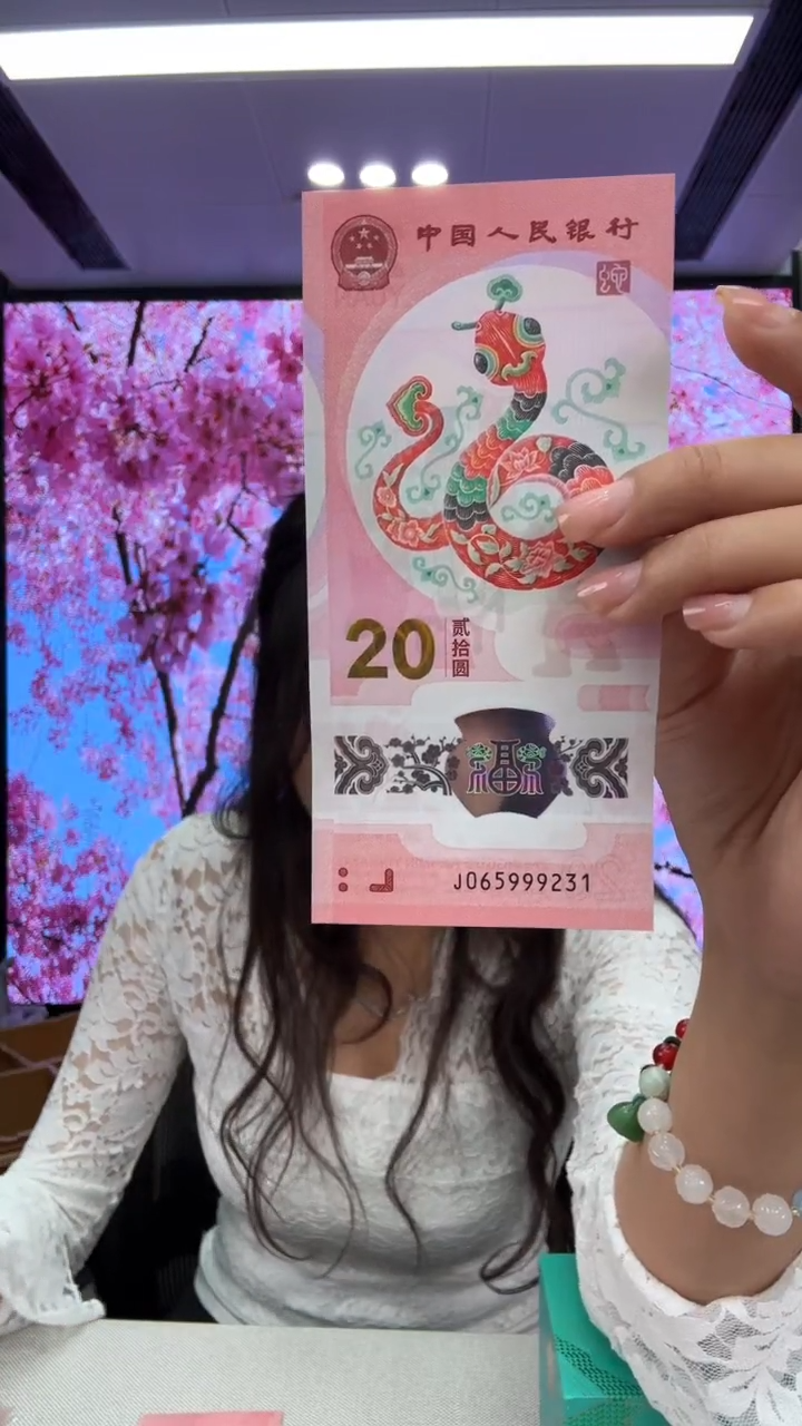 【闪购商品】塑料蛇钞一张065999231