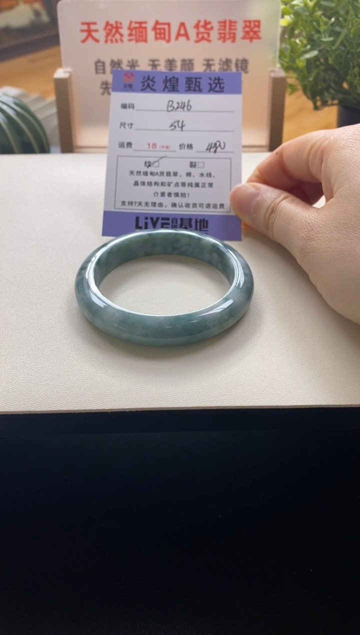 未镶嵌手镯翡翠圈口54.5编码b246
