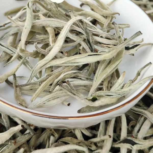 2025年头春云南白毫银针白茶 散茶