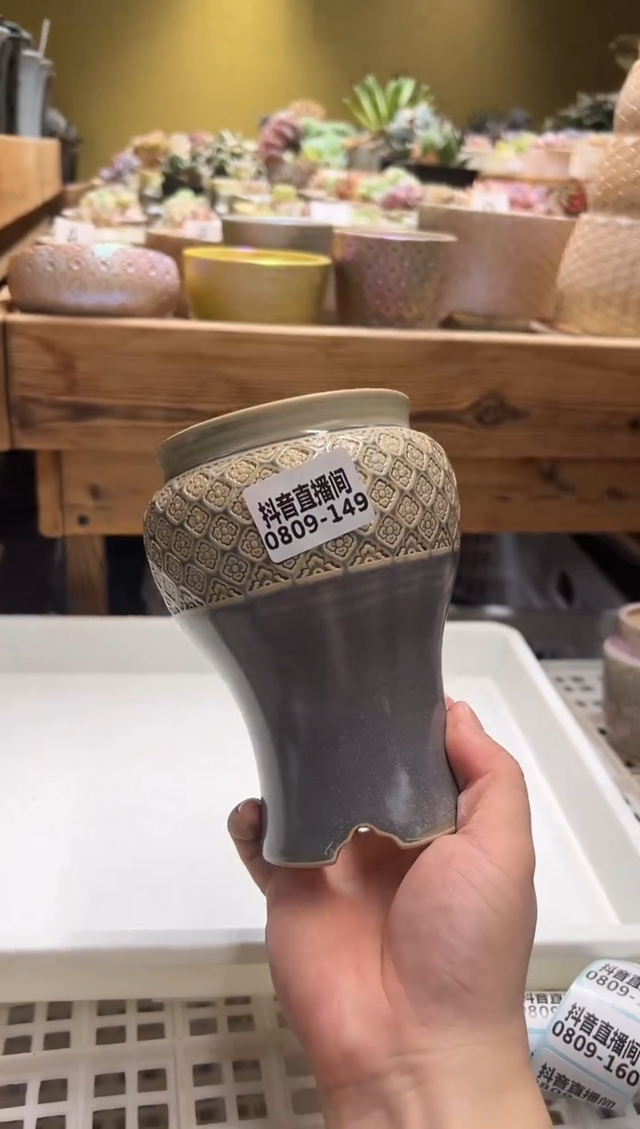 0809-149 凤尾尊微瑕一只 内口8.5