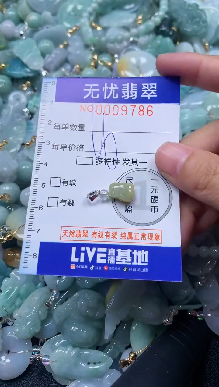 颈饰未镶嵌翡翠9786