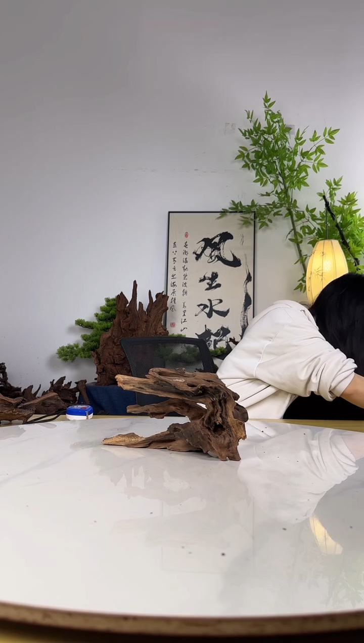 初*拍沉木定向链接编号57