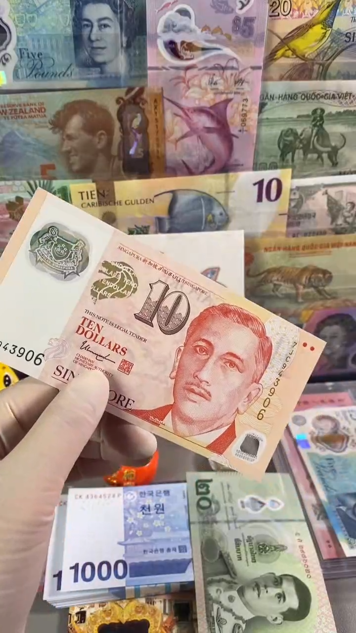 纸币新加坡10元 塑料钞真钞真钱