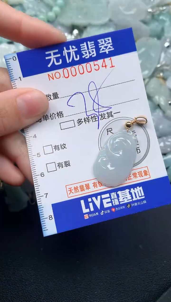 颈饰未镶嵌翡翠541