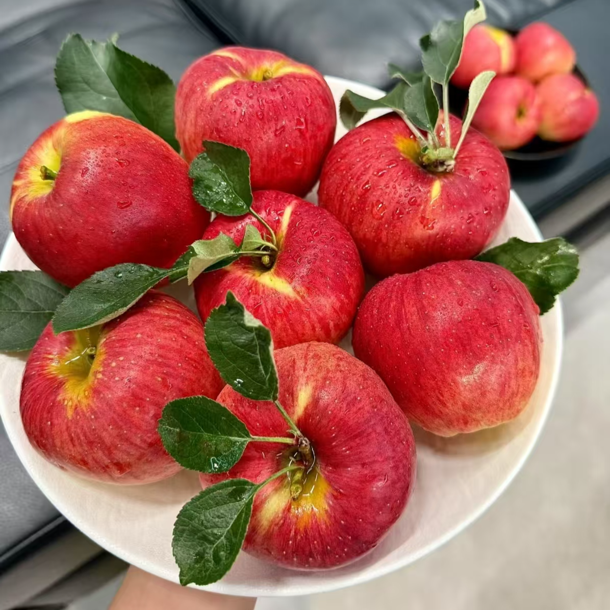 【正宗高山冰糖心丑苹果】2025年新果甜蜜苹果现摘先发脆甜糖心苹果