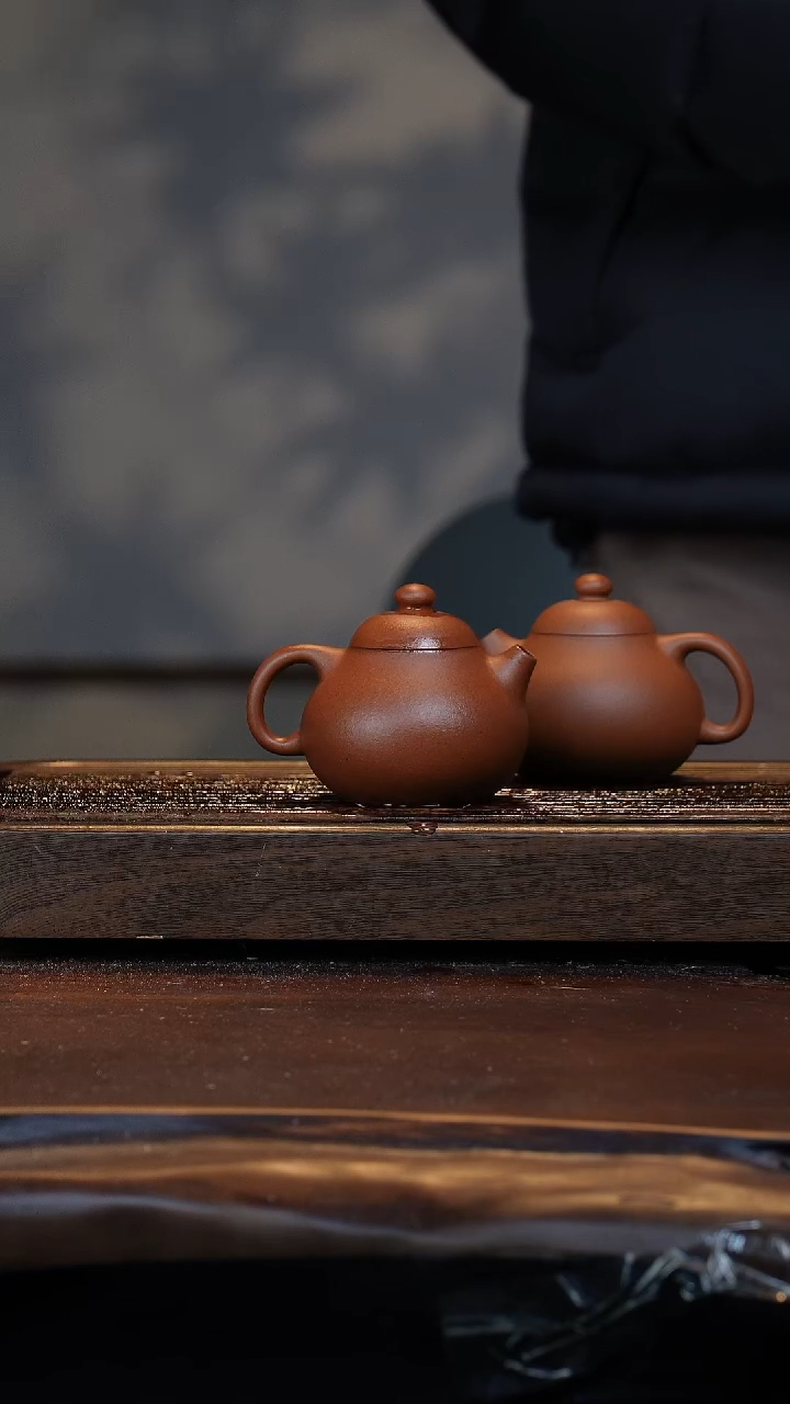 【闪购商品】紫砂茶壶开年福利文旦