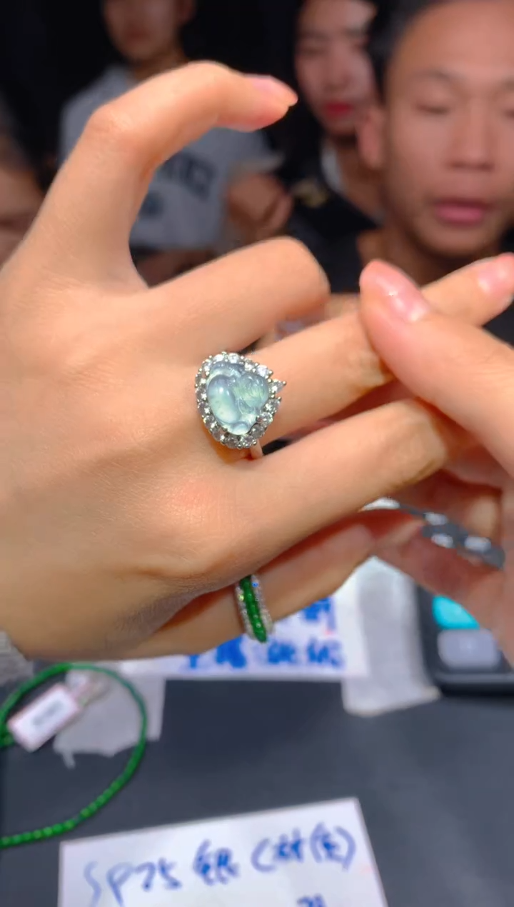 【闪购商品】定制翡翠未镶嵌191多样性发货（发其一）