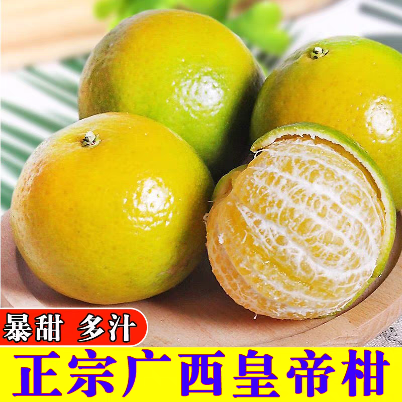 正宗广西武鸣皇帝柑皮薄新鲜应季贡柑当季水果新鲜采摘