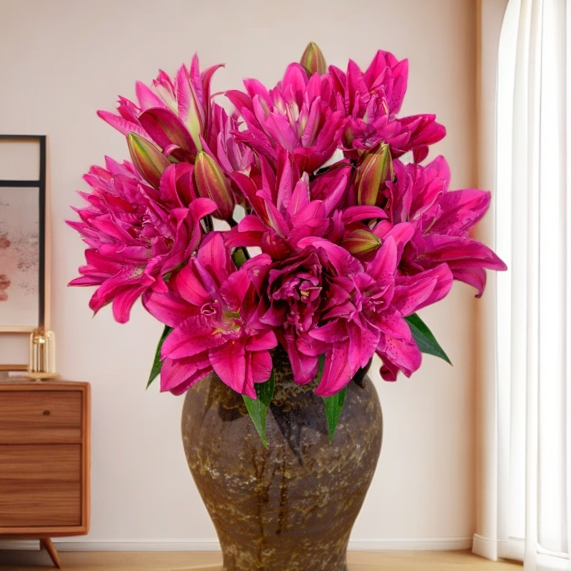 云南木木花卉 玫瑰夫人 稀有重瓣香水百合小众精致家居插花鲜花