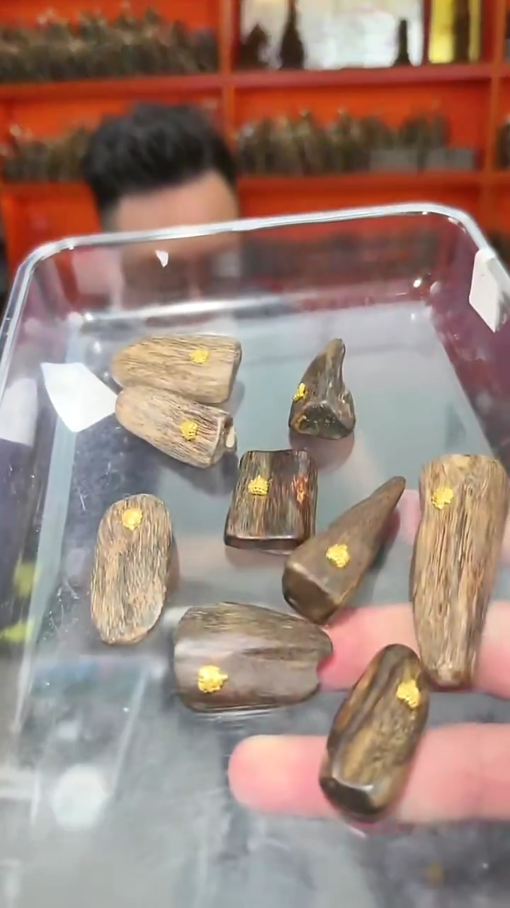 沉香吊坠s21号沉水野1颗多样性发一