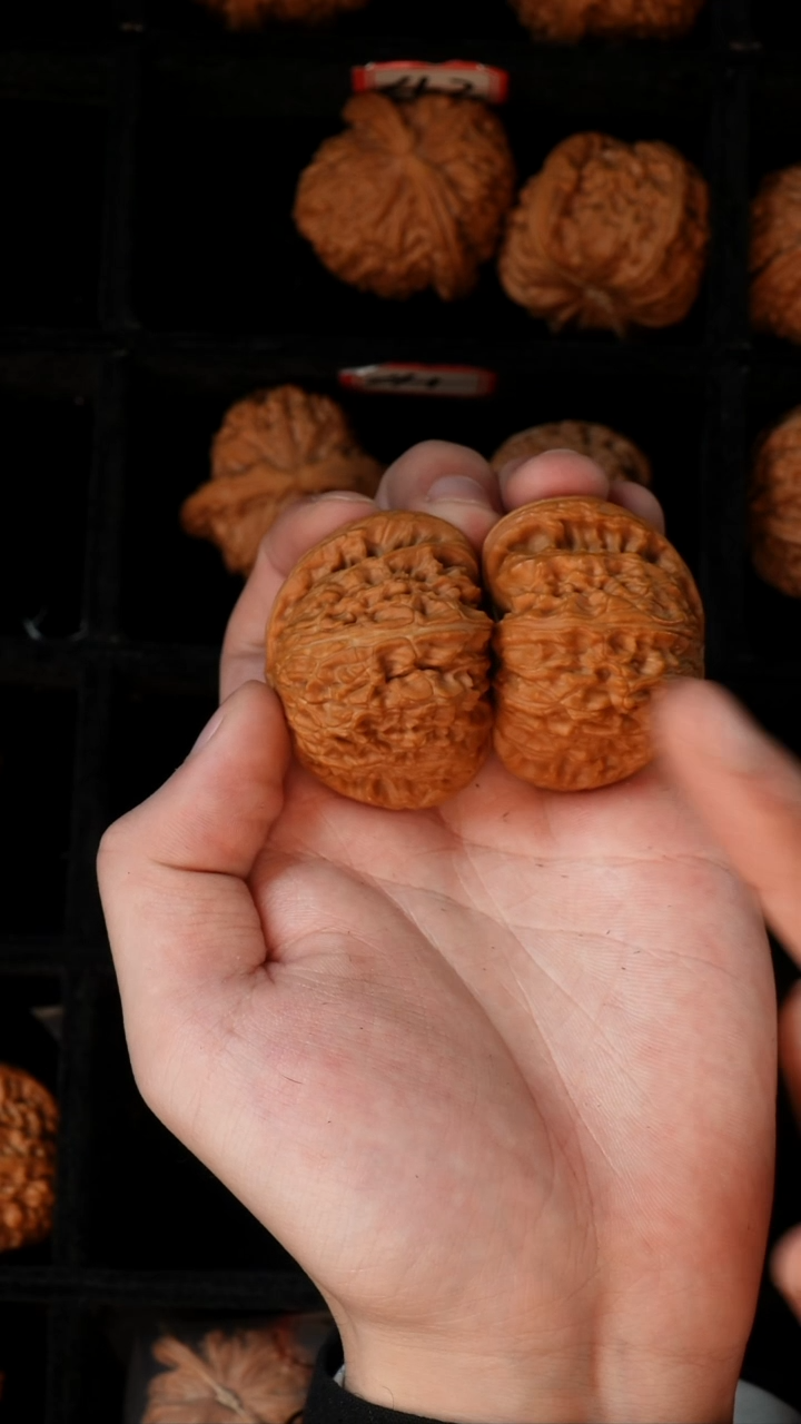 把件文玩核桃白狮子尺寸44