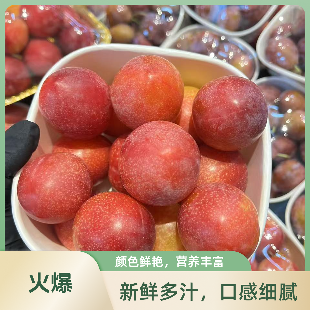 精选樱桃李500-1000g
