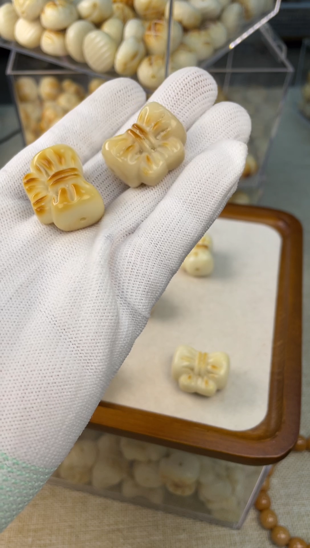 把件菩提根/象牙果15