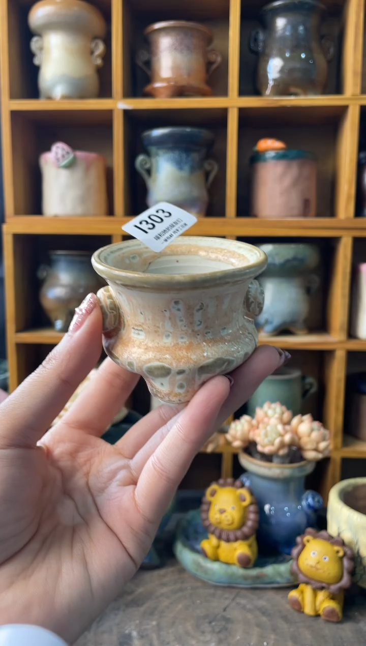 303内口6【多肉花盆多肉盆】