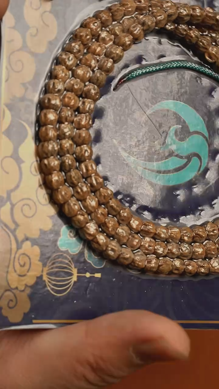 【闪购商品】柏香籽/百香籽吊坠唐广580号