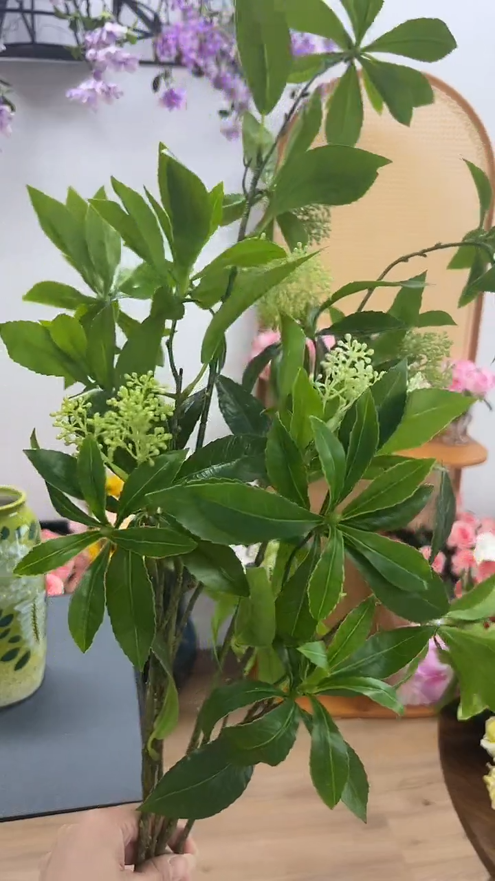 2枝绿色马醉木组合