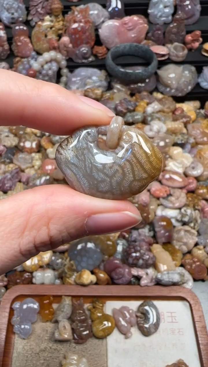 颈饰未镶嵌硅化珊瑚（珊瑚玉）388