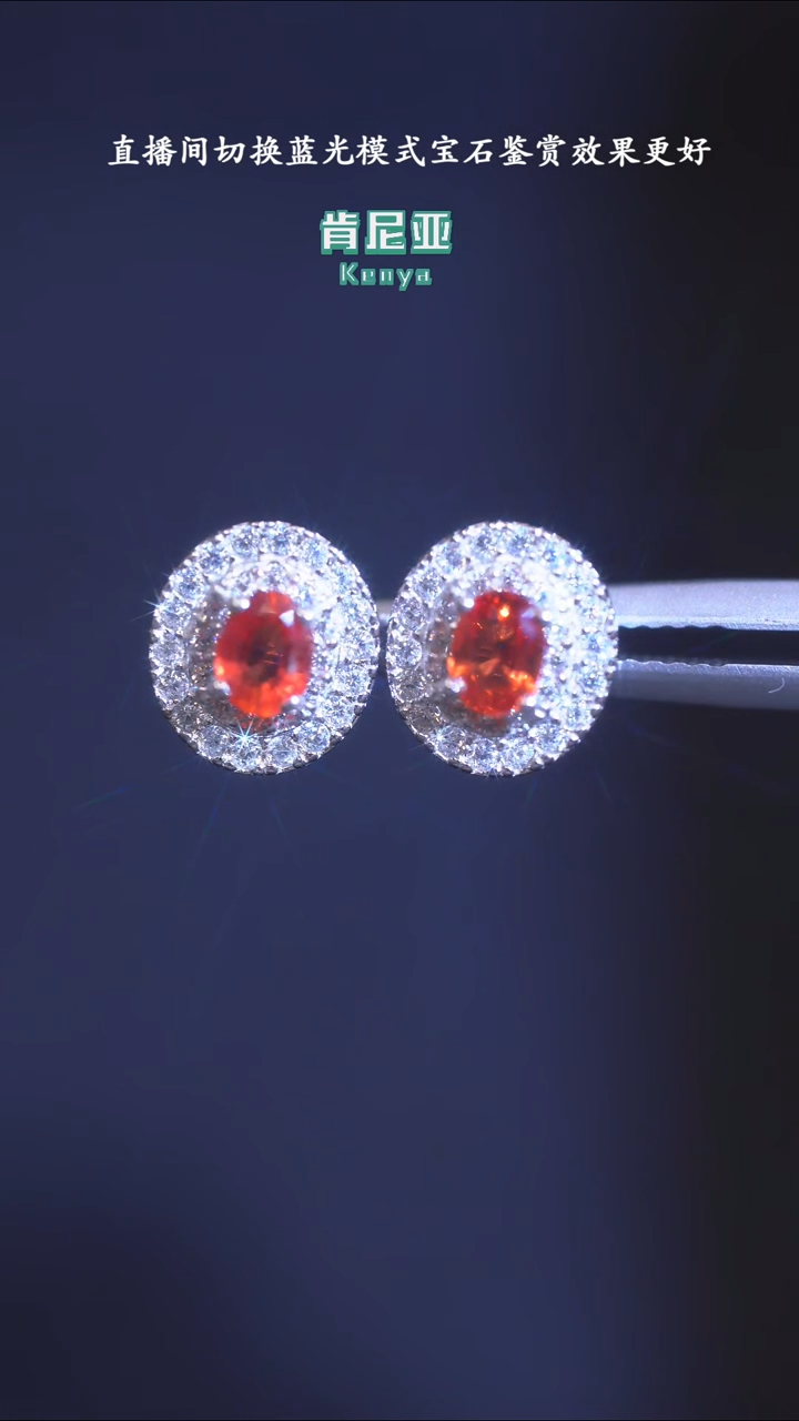 【闪购商品】彩色蓝宝石耳饰银S925镶嵌ZY-GDSFDE553