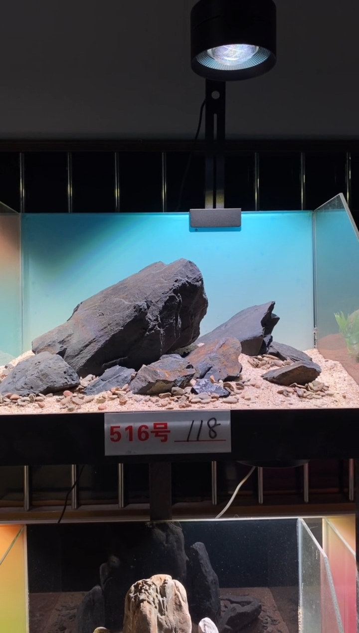 516号鱼缸造景（不含底砂）