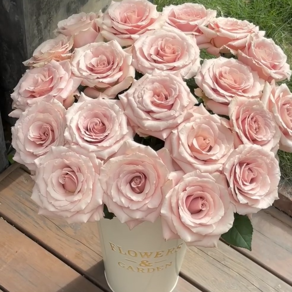 【流沙】云南鲜切花基地直发同地址两单以上顺丰/德邦+送10包保鲜剂