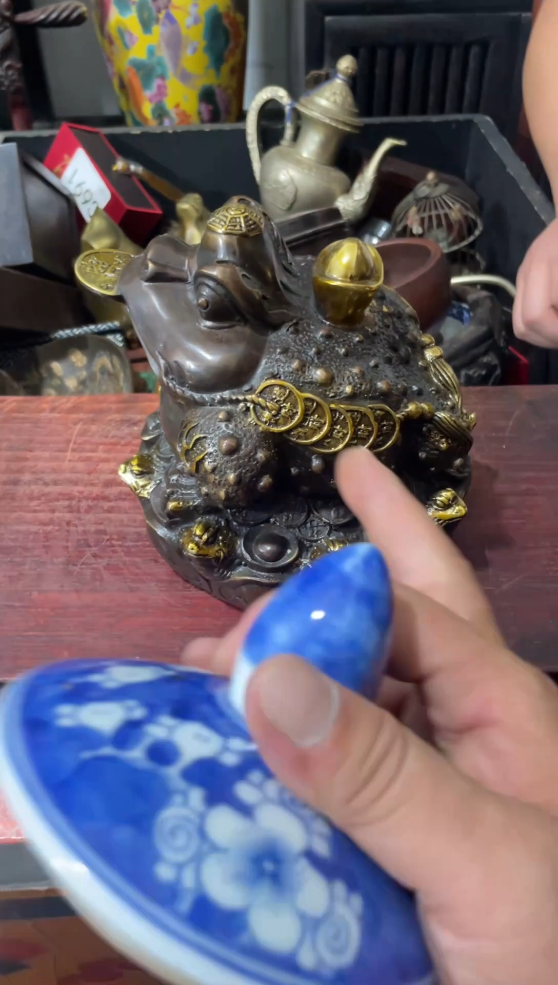 瓷片主播推荐精选好物