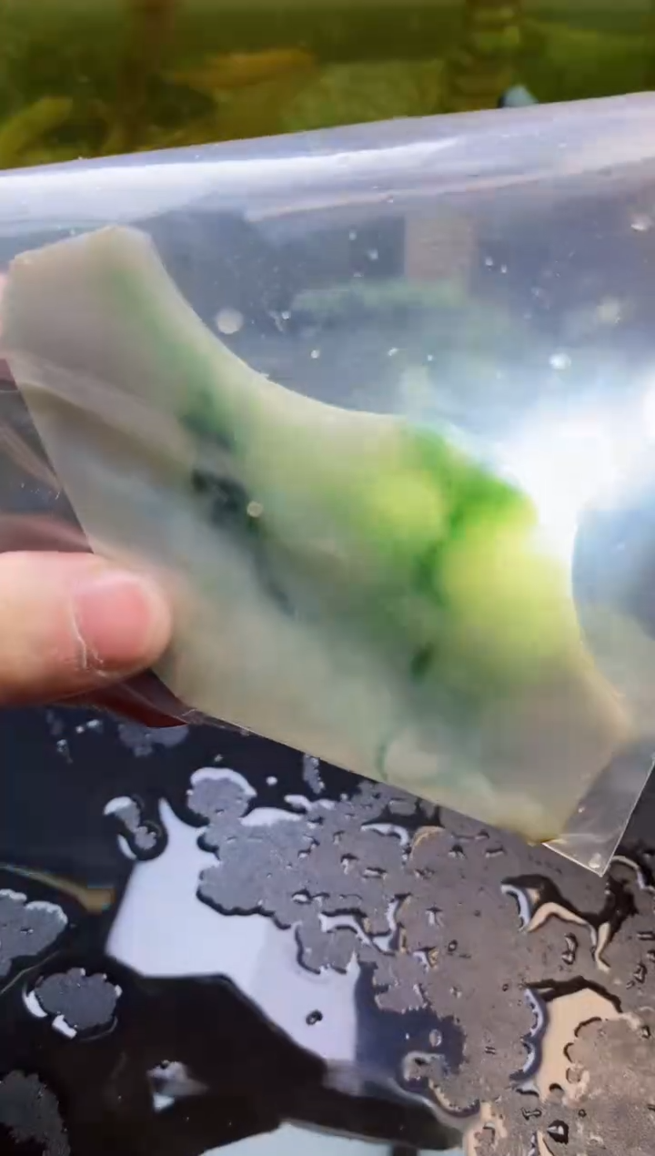 【闪购商品】翡翠颈饰未镶嵌087天然翡翠