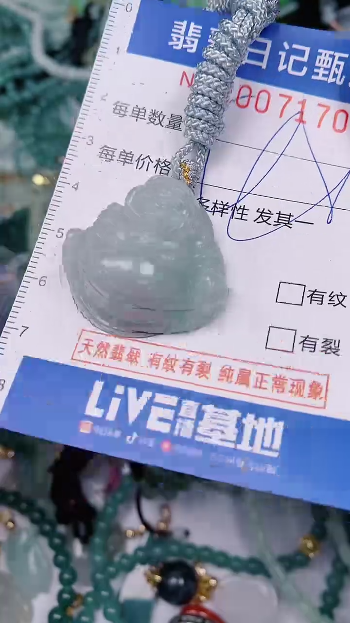 【闪购商品】翡翠颈饰未镶嵌00007170