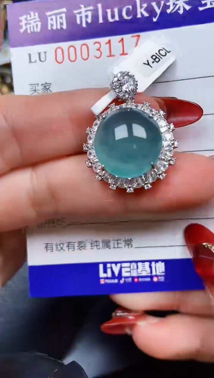 【闪购商品】翡翠颈饰银S925镶嵌3117
