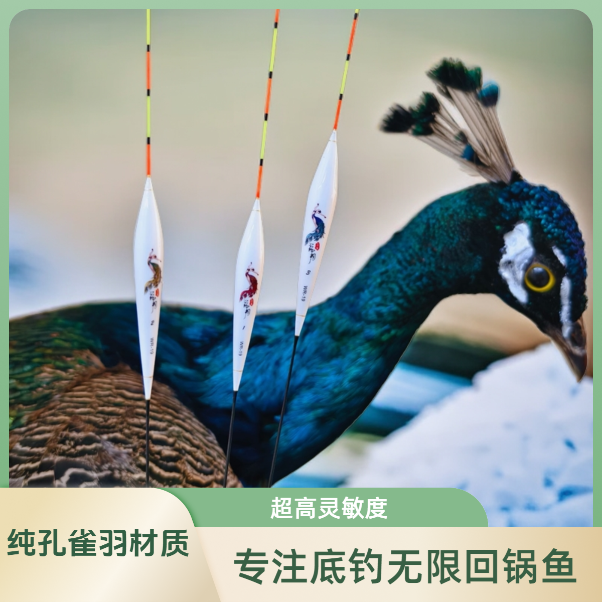WVF【 R19】新品高灵敏度手工孔雀羽浮漂