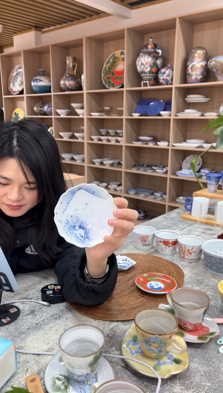 【闪购商品】瓷片F-14 吹墨兎富士山図 輪花皿