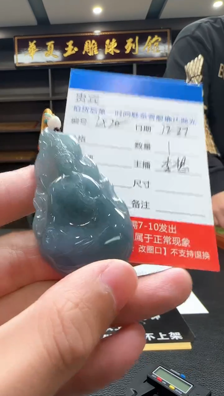 颈饰未镶嵌翡翠LX20翡翠吊坠-多样性发其一