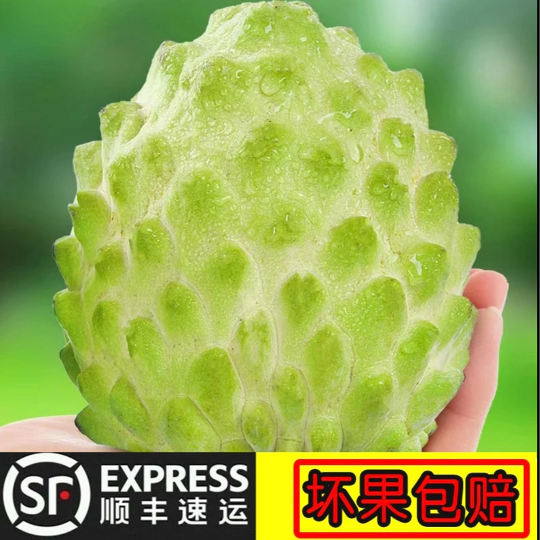 【顺丰包邮】精品释迦果(2.2斤)