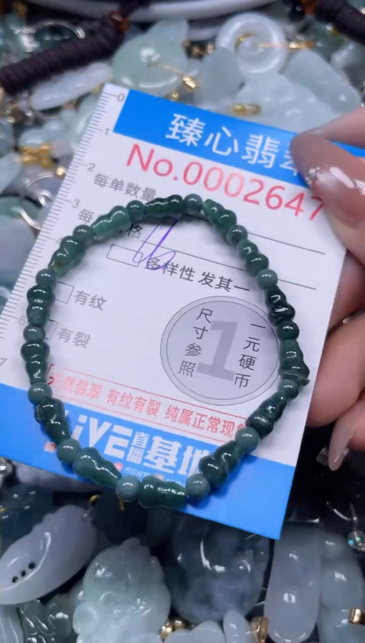 颈饰未镶嵌翡翠2647