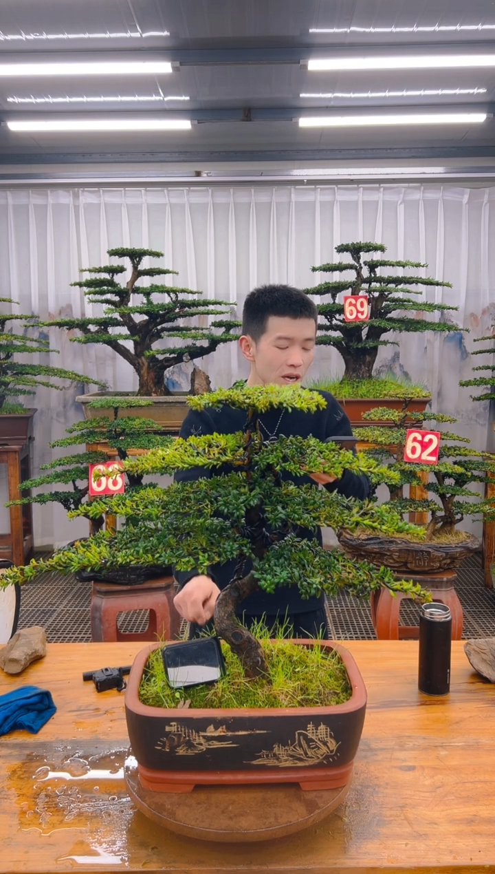 【闪购商品】紫砂精品盆景直播间一物一拍