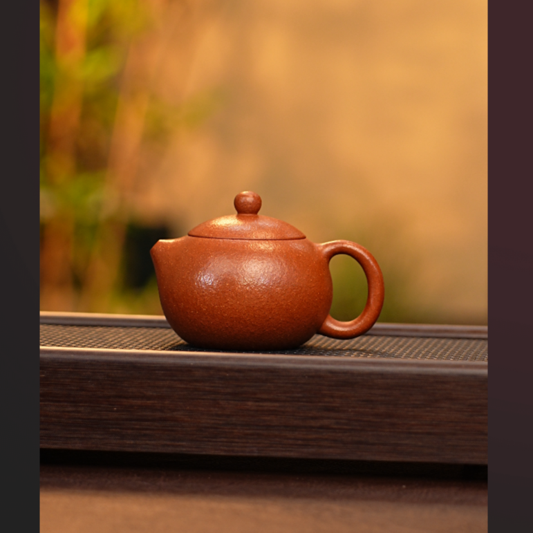 304 西施 220cc 红降