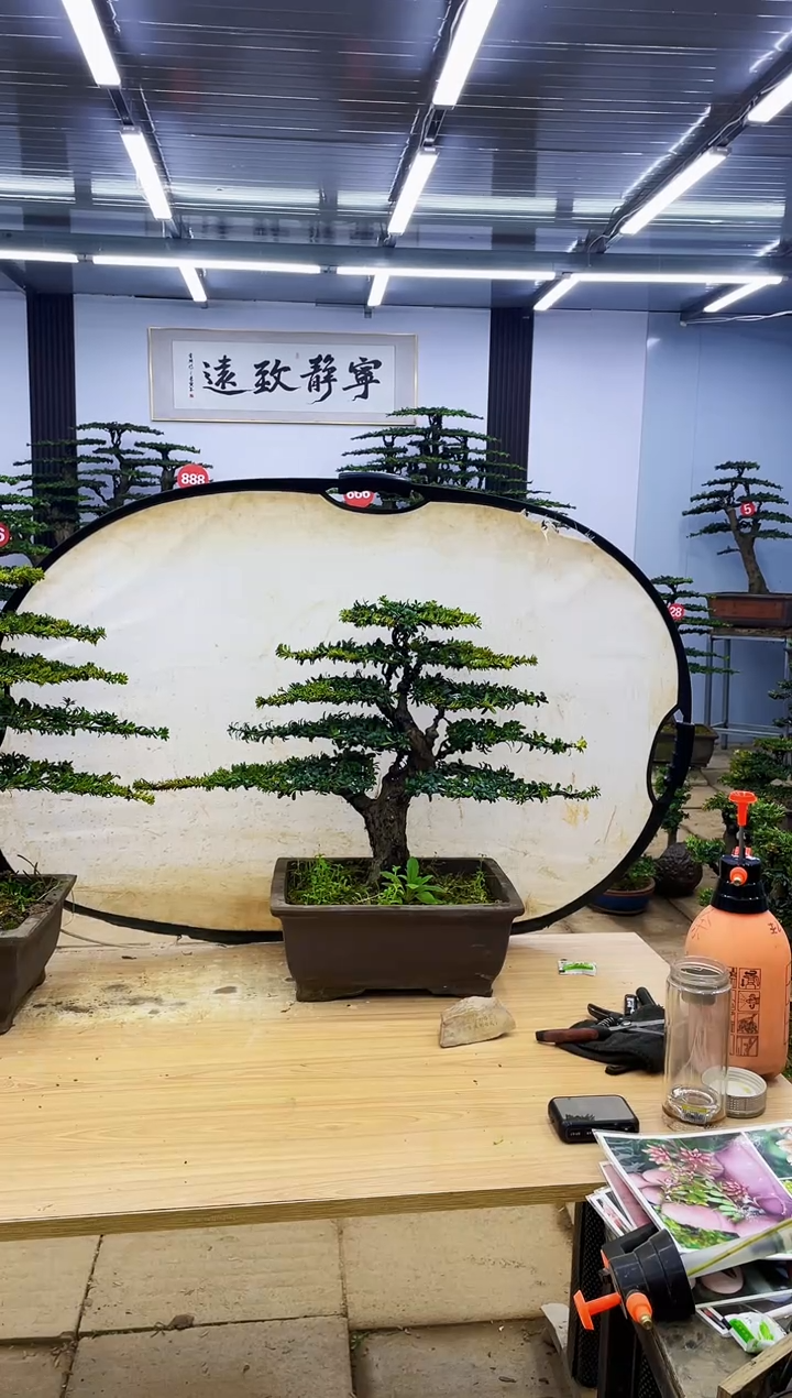 【闪购商品】000000