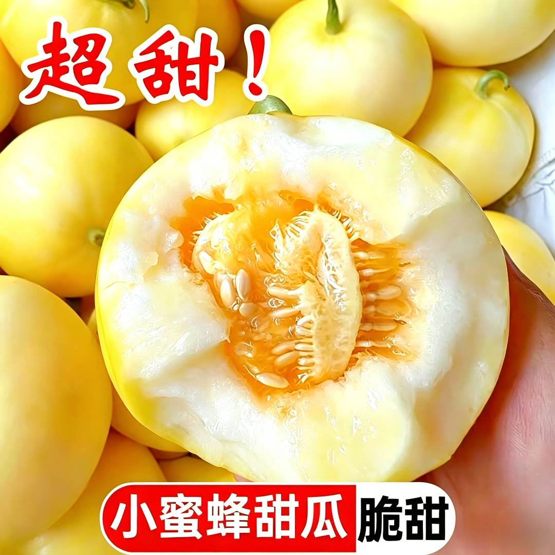 【源头直销】正宗现摘头茬山东小蜜蜂甜瓜薄皮当季新鲜水果整箱包邮
