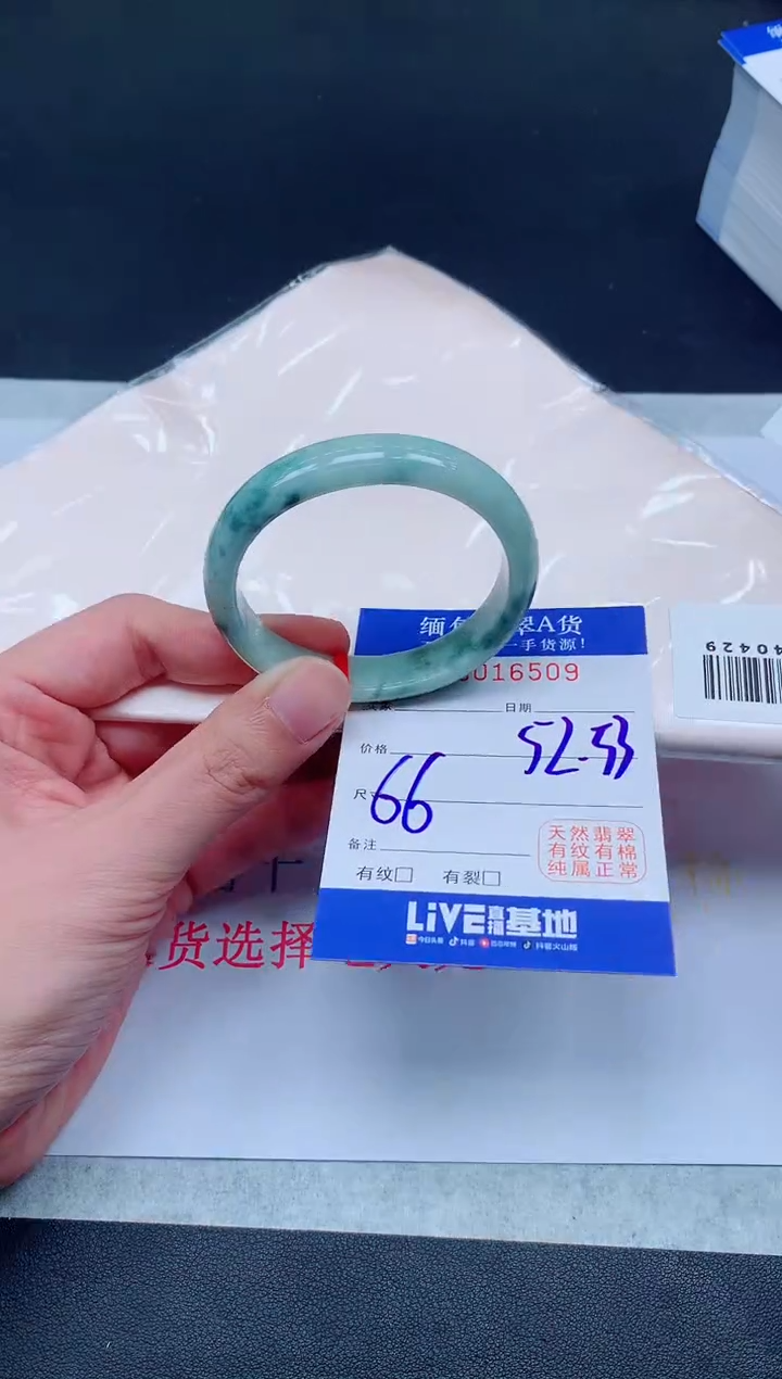 未镶嵌手镯翡翠6509
