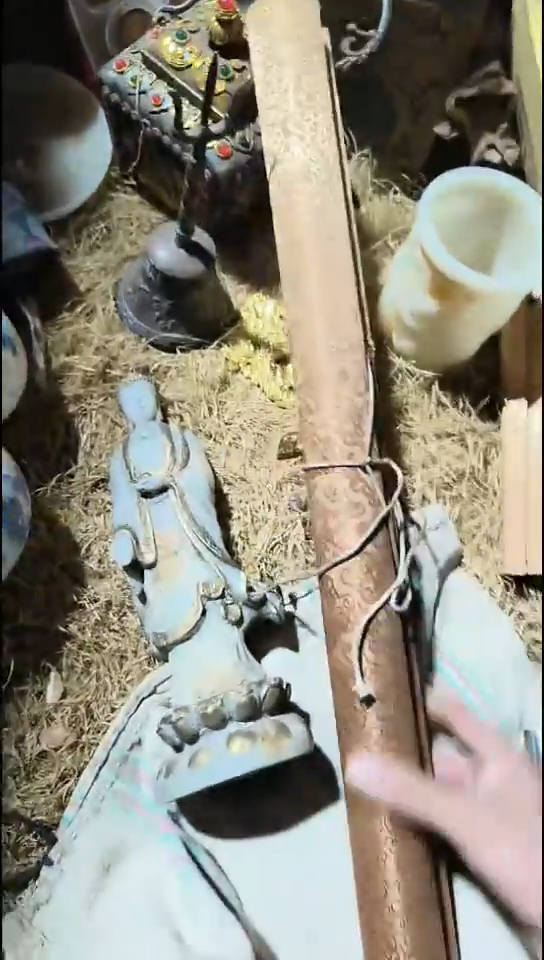 香榧木（1个黄色普通）