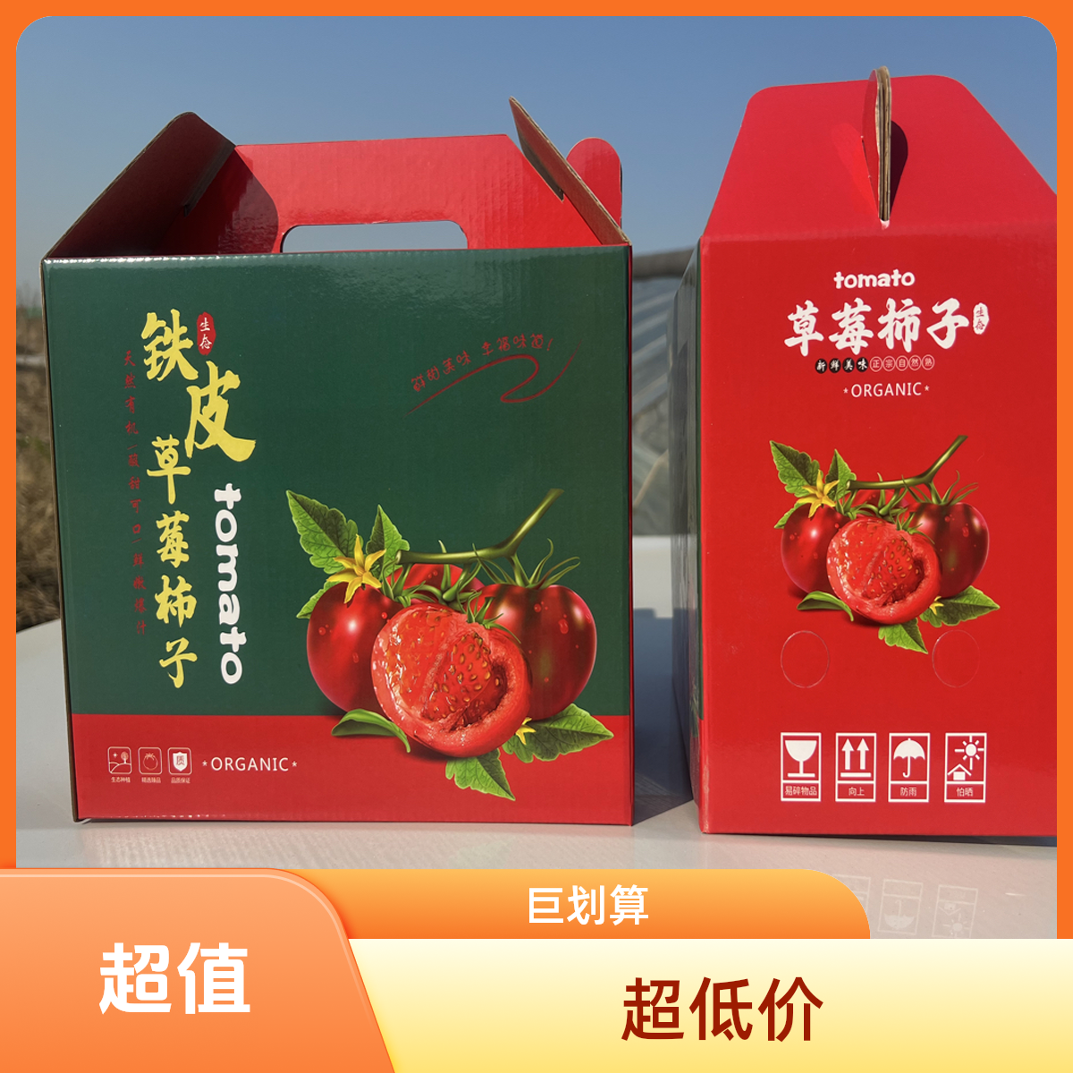 【金山农场】礼盒装草莓西红柿中大果五斤  小时候的味道  酸甜自然现摘现发天津市