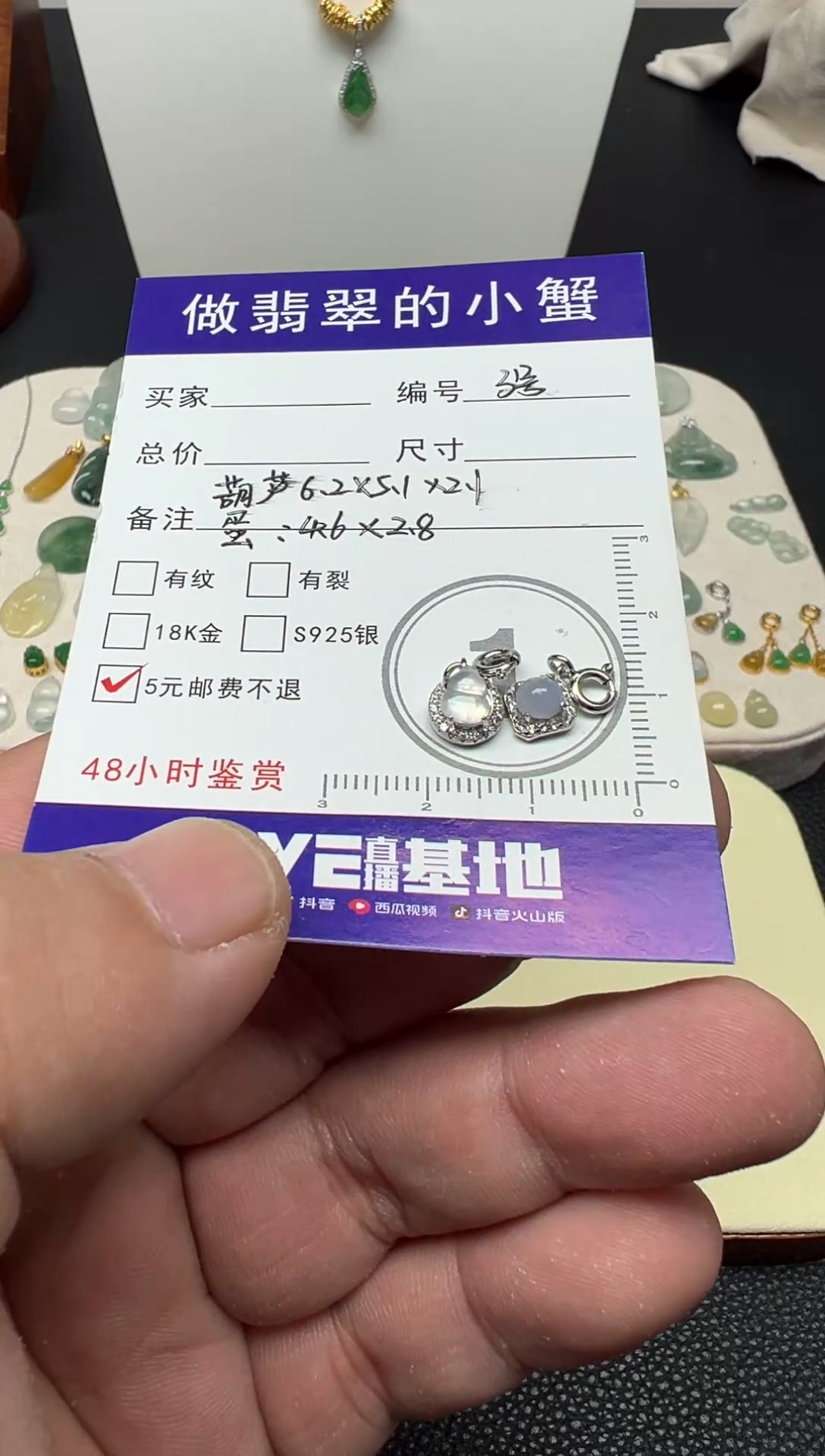 颈饰银S925镶嵌翡翠（3号链接）纯天然A货缅甸翡翠葫芦/蛋面